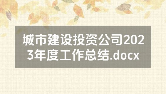 城市建设投资公司2023年度工作总结.docx