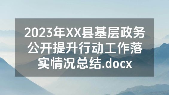 2023年XX县基层政务公开提升行动工作落实情况总结.docx