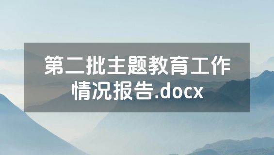 第二批主题教育工作情况报告.docx