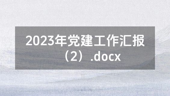 2023年党建工作汇报（2）.docx
