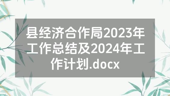 县经济合作局2023年工作总结及2024年工作计划.docx