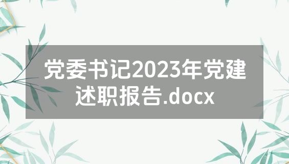 党委书记2023年党建述职报告.docx