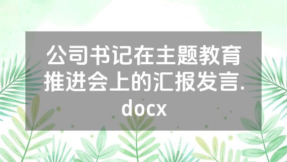 公司书记在主题教育推进会上的汇报发言.docx