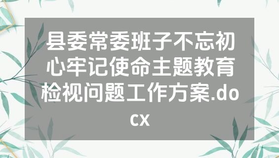 县委常委班子不忘初心牢记使命主题教育检视问题工作方案.docx