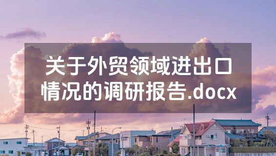 关于外贸领域进出口情况的调研报告.docx