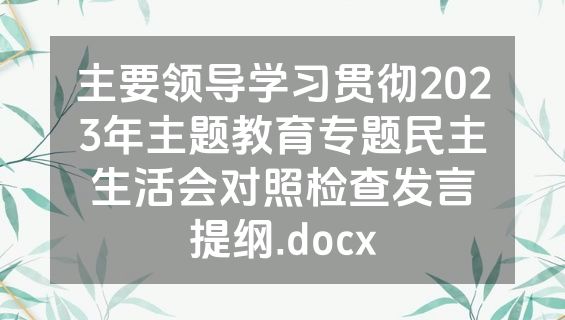 主要领导学习贯彻2023年主题教育专题民主生活会对照检查发言提纲.docx
