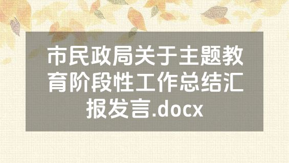 市民政局关于主题教育阶段性工作总结汇报发言.docx