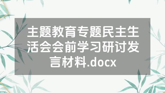 主题教育专题民主生活会会前学习研讨发言材料.docx
