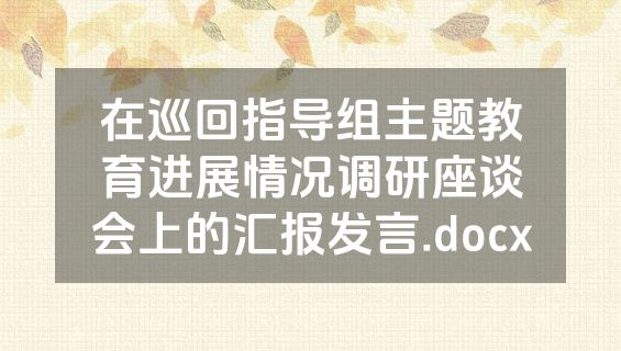 在巡回指导组主题教育进展情况调研座谈会上的汇报发言.docx
