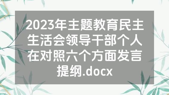 2023年主题教育民主生活会领导干部个人在对照六个方面发言提纲.docx