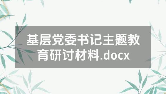 基层党委书记主题教育研讨材料.docx