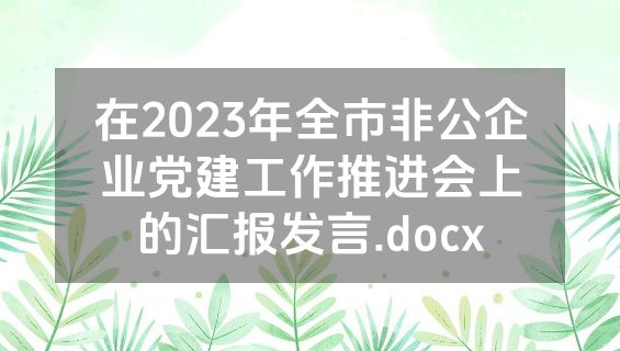 在2023年全市非公企业党建工作推进会上的汇报发言.docx