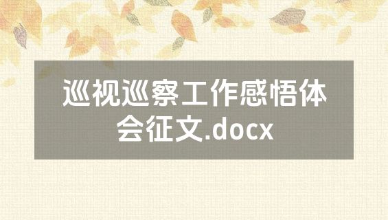 巡视巡察工作感悟体会征文.docx