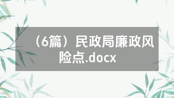 （6篇）民政局廉政风险点.docx