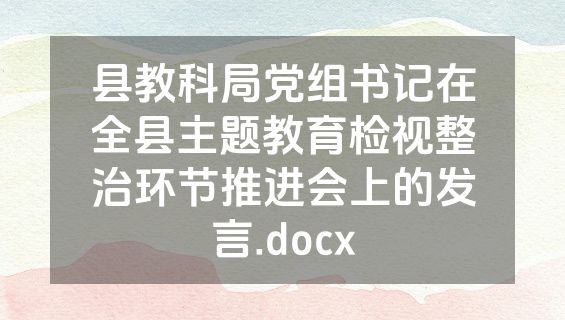 县教科局党组书记在全县主题教育检视整治环节推进会上的发言.docx