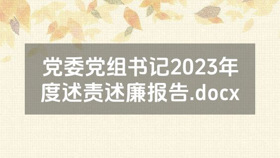 党委党组书记2023年度述责述廉报告.docx