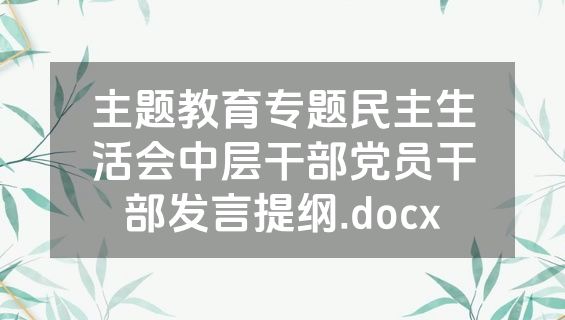 主题教育专题民主生活会中层干部党员干部发言提纲.docx
