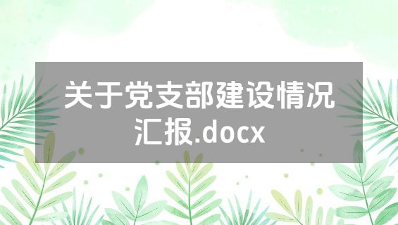 关于党支部建设情况汇报.docx
