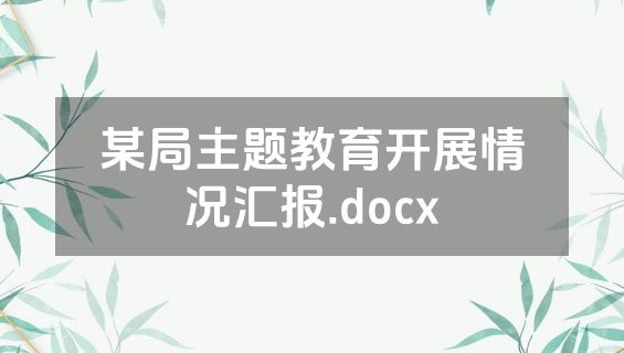 某局主题教育开展情况汇报.docx