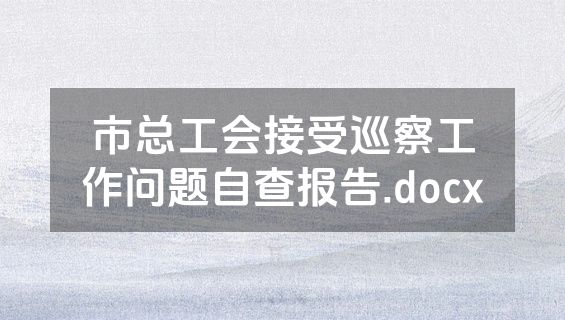 市总工会接受巡察工作问题自查报告.docx
