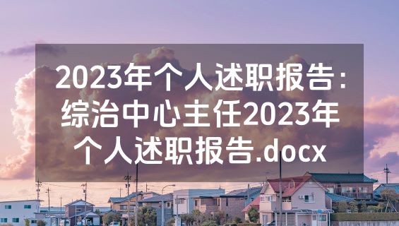 2023年个人述职报告：综治中心主任2023年个人述职报告.docx