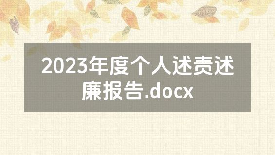 2023年度个人述责述廉报告.docx
