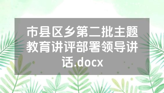 市县区乡第二批主题教育讲评部署领导讲话.docx
