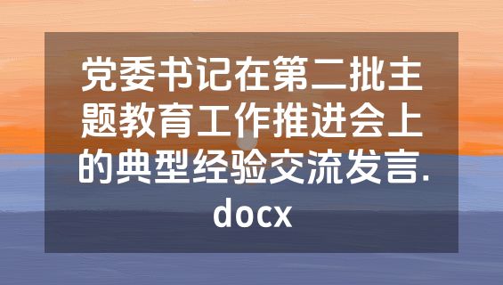 党委书记在第二批主题教育工作推进会上的典型经验交流发言.docx