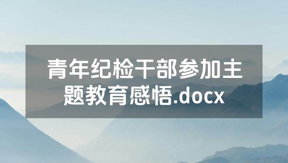 青年纪检干部参加主题教育感悟.docx