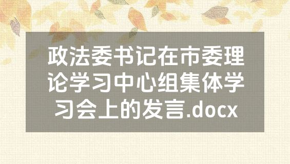 政法委书记在市委理论学习中心组集体学习会上的发言.docx