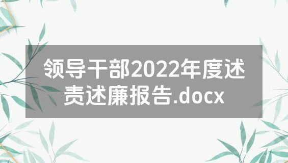 领导干部2022年度述责述廉报告.docx