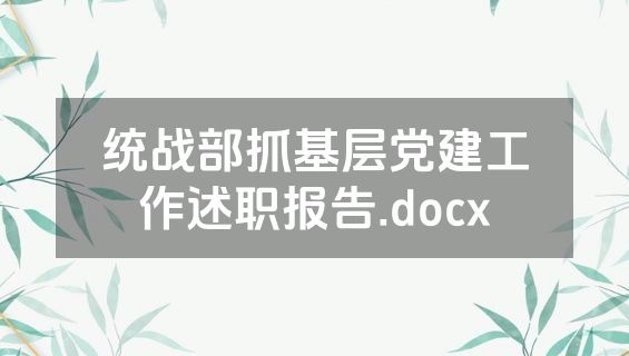 统战部抓基层党建工作述职报告.docx