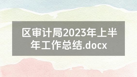 区审计局2023年上半年工作总结.docx