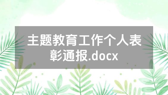 主题教育工作个人表彰通报.docx
