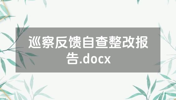 巡察反馈自查整改报告.docx