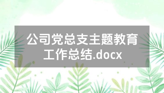 公司党总支主题教育工作总结.docx