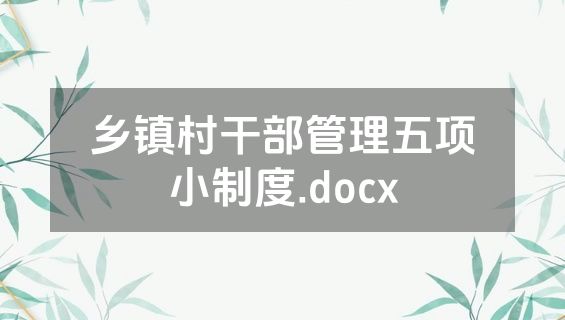 乡镇村干部管理五项小制度.docx
