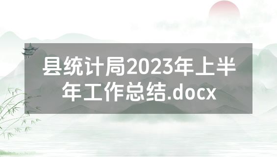 县统计局2023年上半年工作总结.docx