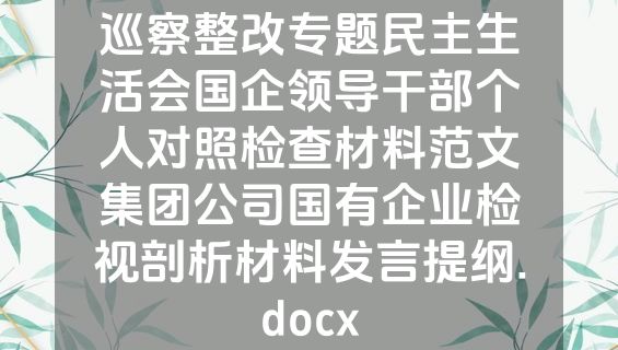 巡察整改专题民主生活会国企领导干部个人对照检查材料范文集团公司国有企业检视剖析材料发言提纲.docx