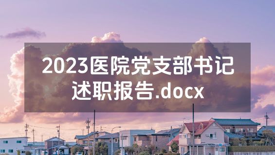 2023医院党支部书记述职报告.docx
