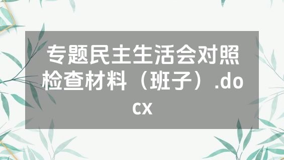 专题民主生活会对照检查材料（班子）.docx