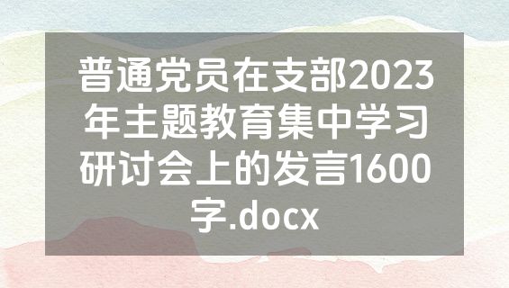 普通党员在支部2023年主题教育集中学习研讨会上的发言1600字.docx