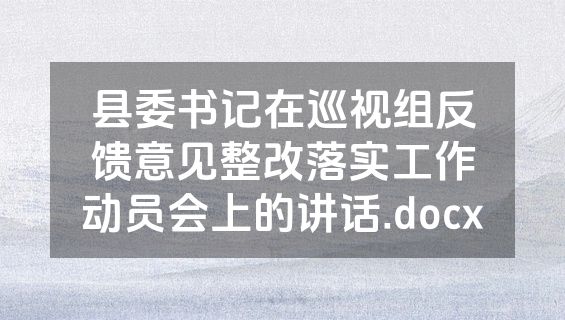 县委书记在巡视组反馈意见整改落实工作动员会上的讲话.docx