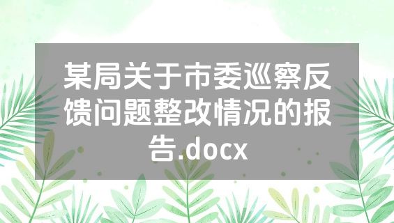 某局关于市委巡察反馈问题整改情况的报告.docx