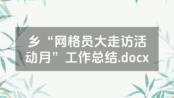 乡“网格员大走访活动月”工作总结.docx