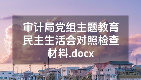审计局党组主题教育民主生活会对照检查材料.docx
