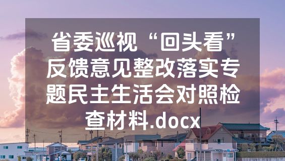 省委巡视“回头看”反馈意见整改落实专题民主生活会对照检查材料.docx