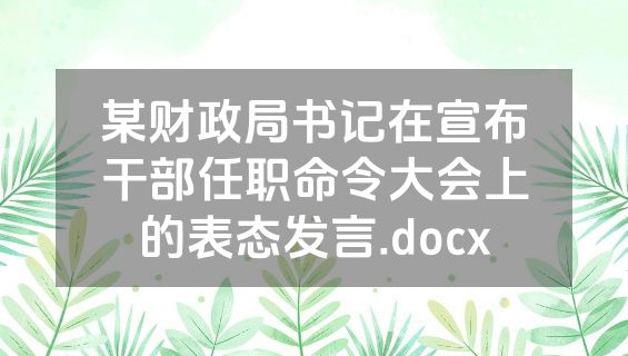 某财政局书记在宣布干部任职命令大会上的表态发言.docx
