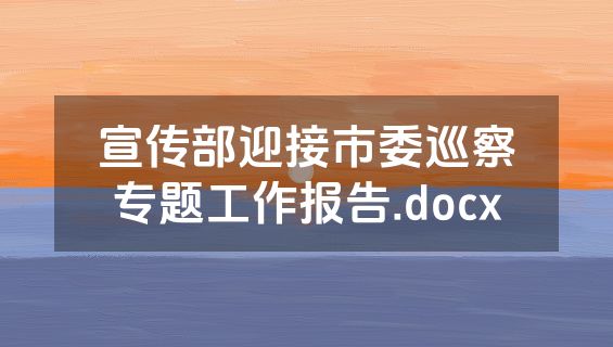 宣传部迎接市委巡察专题工作报告.docx