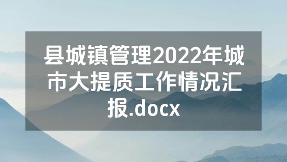 县城镇管理2022年城市大提质工作情况汇报.docx
